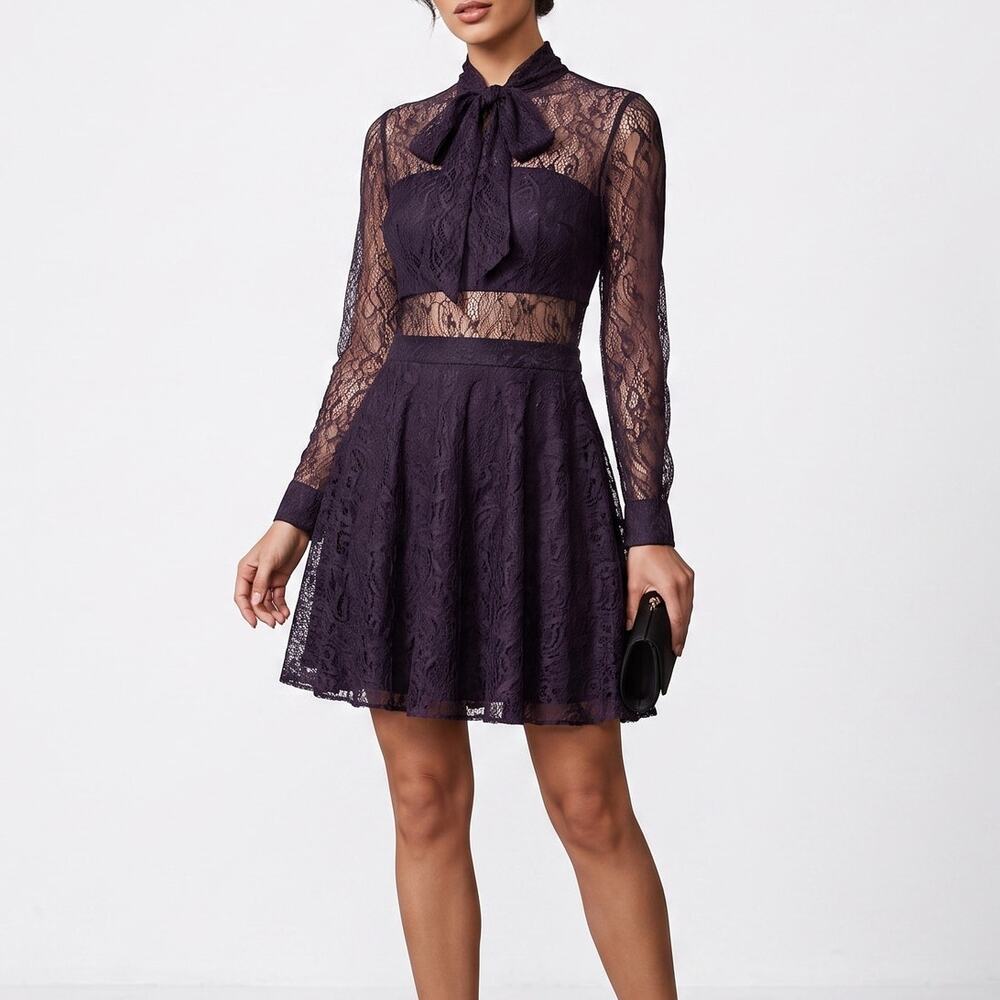 Jay Godfrey Peekaboo Black Lace Dress Size 12 Fits Like 8/10 Gothic Romantic NWT